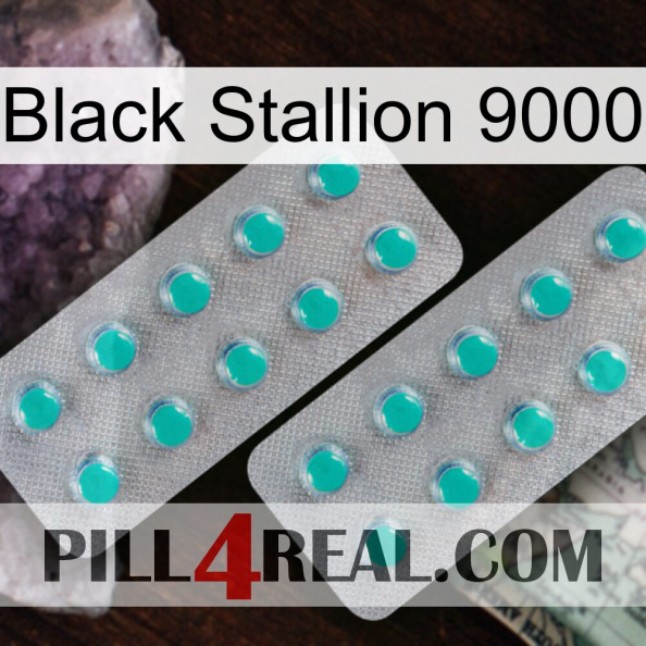 Black Stallion 9000 29.jpg